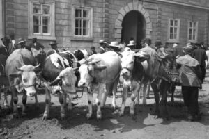 brandys-nad-labem-cp-98-1